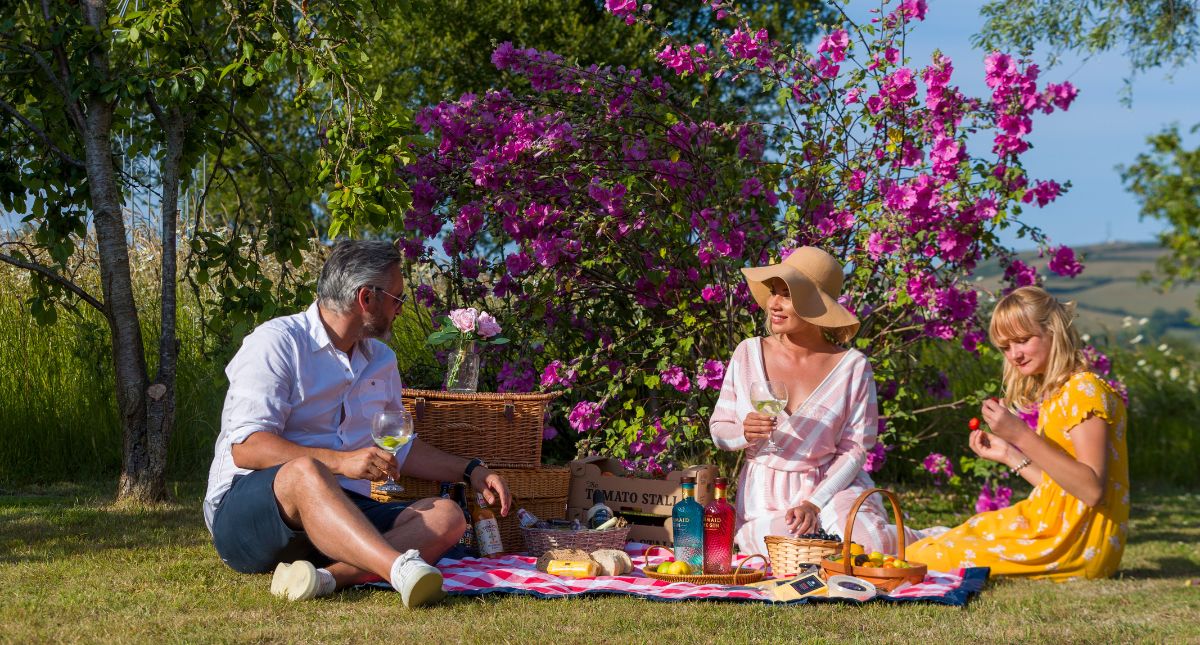 Picnic on the Isle of Wight